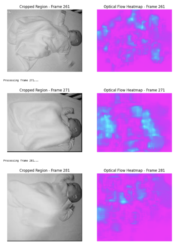Optical Flow Visualization