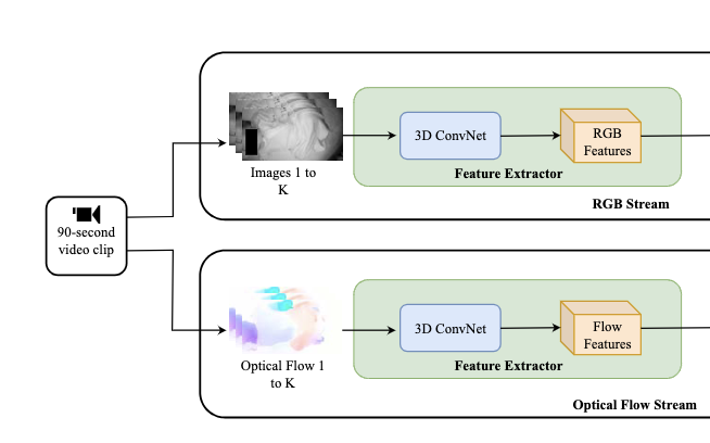 Two-Stream Spatiotemporal Model for Infant Sleep-Wake Classification